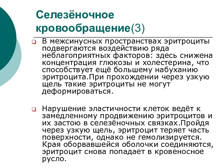 Селезёночное кровообращение(3) В межсинусных пространствах эритроциты подвергаются воздействию ряда неблагоприятных факторов: здесь