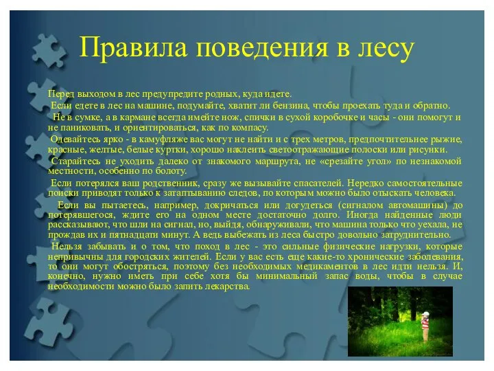 Правила поведения в лесу Перед выходом в лес предупредите родных, куда идете.