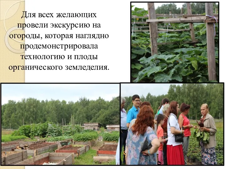 Для всех желающих провели экскурсию на огороды, которая наглядно продемонстрировала технологию и плоды органического земледелия.
