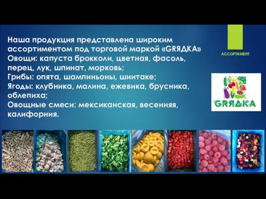 Наша продукция представлена широким ассортиментом под торговой маркой «GRЯДКА» Овощи: капуста брокколи,