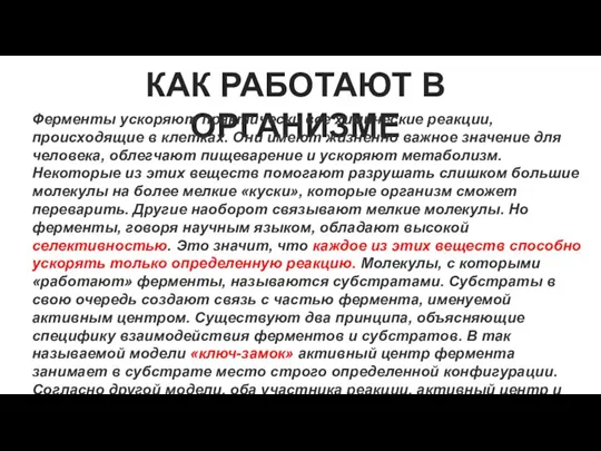 КАК РАБОТАЮТ В ОРГАНИЗМЕ Ферменты ускоряют практически все химические реакции, происходящие в