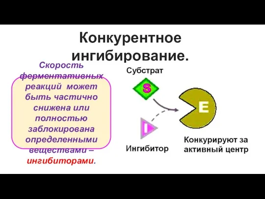 Конкурентное ингибирование. Скорость ферментативных реакций может быть частично снижена или полностью заблокирована определенными веществами – ингибиторами.