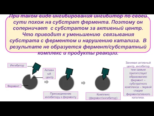 При таком виде ингибирования ингибитор по своей сути похож на субстрат фермента.