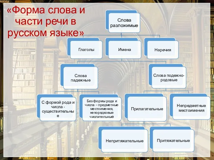 «Форма слова и части речи в русском языке»