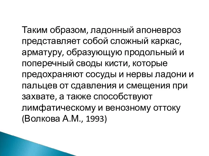 Таким образом, ладонный апоневроз представляет собой сложный каркас, арматуру, образующую продольный и