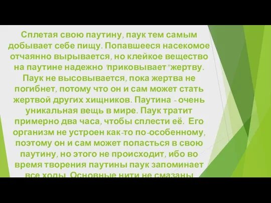 Сплетая свою паутину, паук тем самым добывает себе пищу. Попавшееся насекомое отчаянно