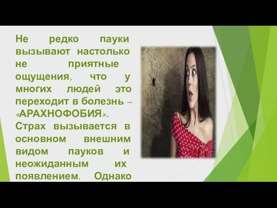 Не редко пауки вызывают настолько не приятные ощущения, что у многих людей