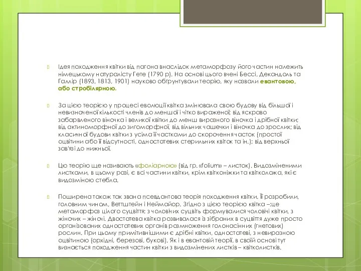 Ідея походження квітки від пагона внаслідок метаморфозу його частин належить німецькому натуралісту