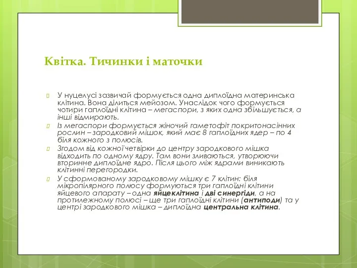 Квітка. Тичинки і маточки У нуцелусі зазвичай формується одна диплоїдна материнська клітина.