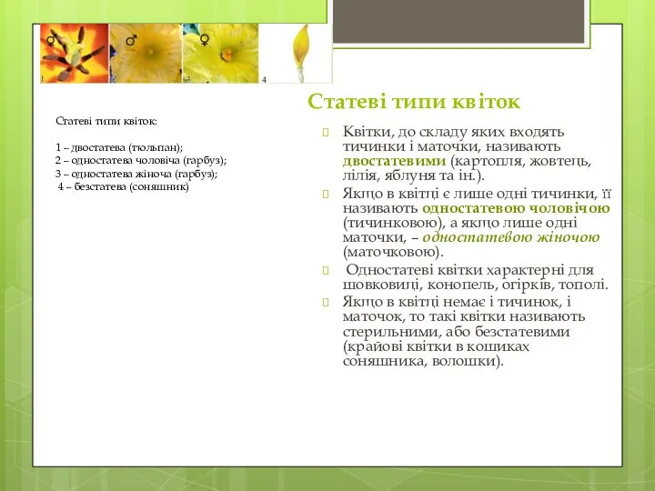 Статеві типи квіток Квітки, до складу яких входять тичинки і маточки, називають