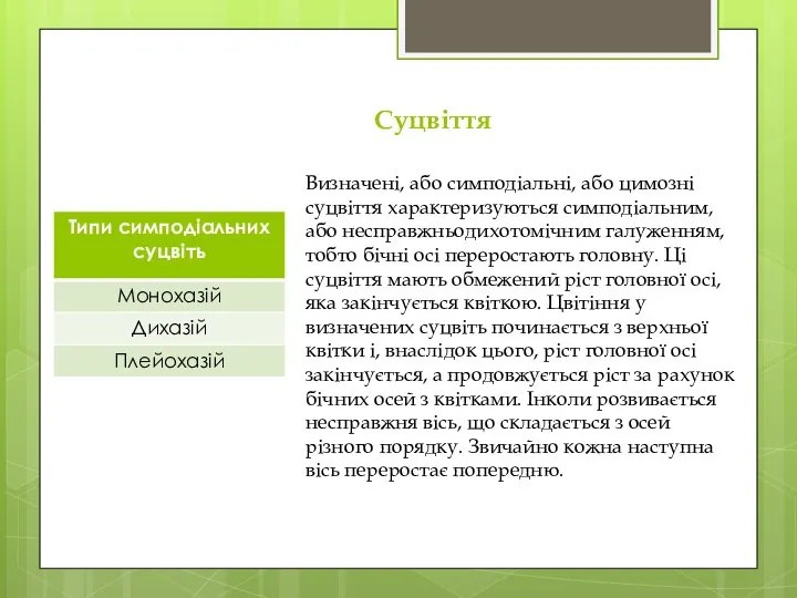 Суцвіття Визначені, або симподіальні, або цимозні суцвіття характеризуються симподіальним, або несправжньодихотомічним галуженням,