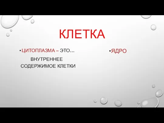 КЛЕТКА ЦИТОПЛАЗМА – ЭТО… ВНУТРЕННЕЕ СОДЕРЖИМОЕ КЛЕТКИ ЯДРО