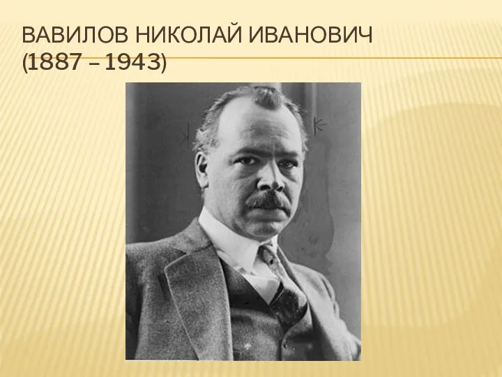 ВАВИЛОВ НИКОЛАЙ ИВАНОВИЧ (1887 – 1943)