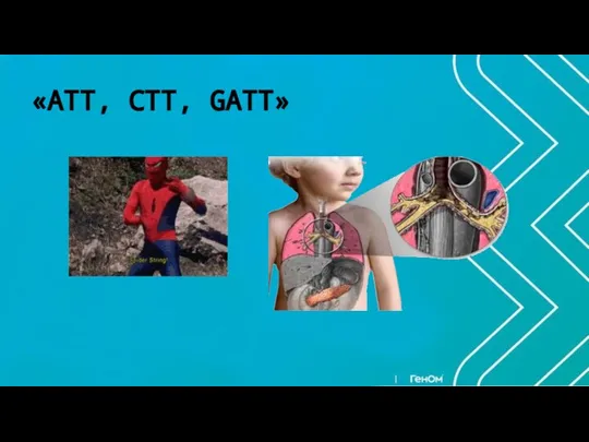 «AТT, CTT, GATT»