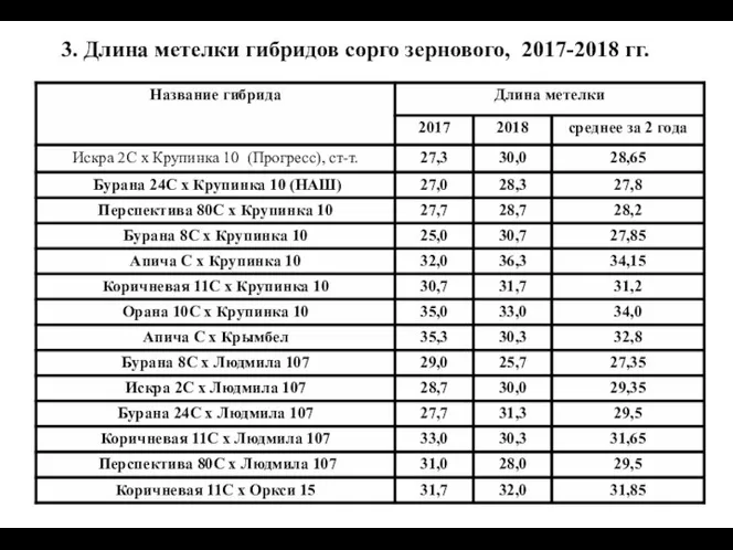 3. Длина метелки гибридов сорго зернового, 2017-2018 гг.