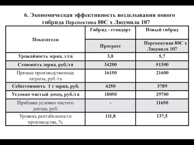 6. Экономическая эффективность возделывания нового гибрида Перспектива 80С х Людмила 107