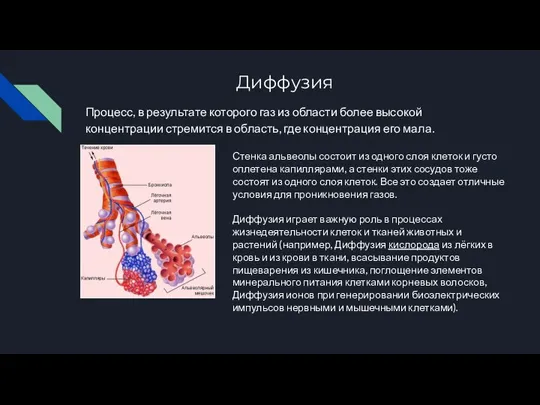 Диффузия Процесс, в результате которого газ из области более высокой концентрации стремится