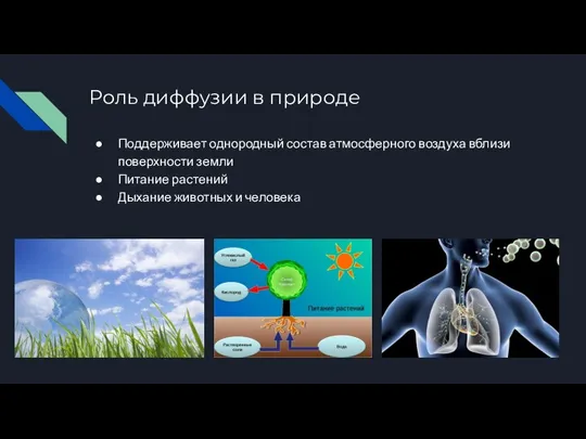 Роль диффузии в природе Поддерживает однородный состав атмосферного воздуха вблизи поверхности земли