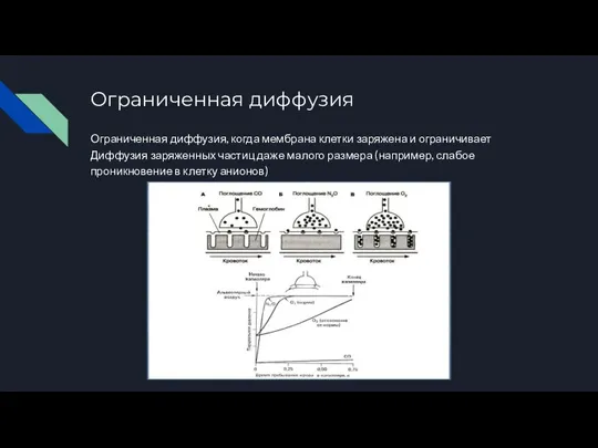 Ограниченная диффузия Ограниченная диффузия, когда мембрана клетки заряжена и ограничивает Диффузия заряженных