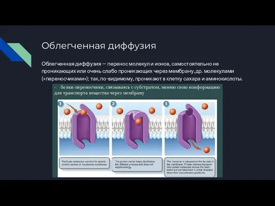 Облегченная диффузия Облегченная диффузия — перенос молекул и ионов, самостоятельно не проникающих