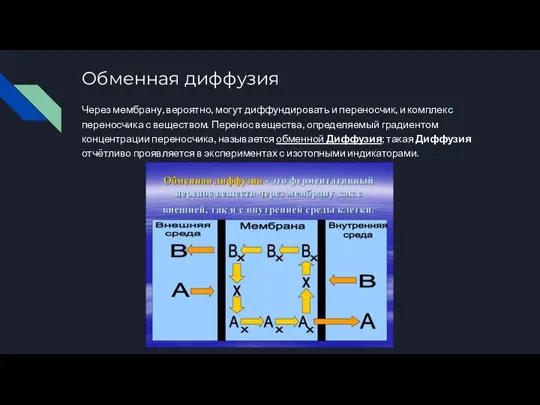 Обменная диффузия Через мембрану, вероятно, могут диффундировать и переносчик, и комплекс переносчика