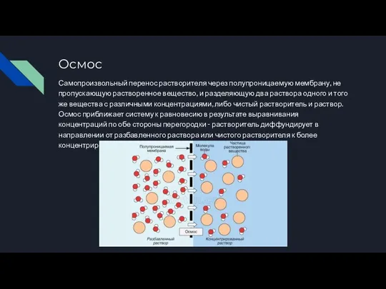 Осмос Самопроизвольный перенос растворителя через полупроницаемую мембрану, не пропускающую растворенное вещество, и