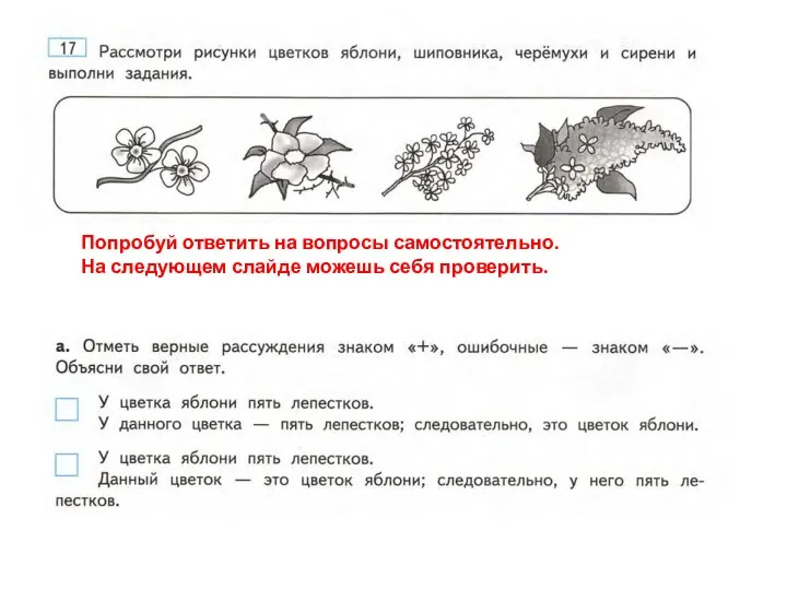 Попробуй ответить на вопросы самостоятельно. На следующем слайде можешь себя проверить.