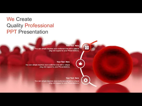 We Create Quality Professional PPT Presentation