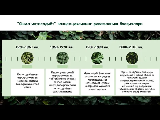 1950-1960 йй. Иқтисодиётнинг атроф-муҳит ва инсонга салбий таъсирини англаб етиш Инсон учун