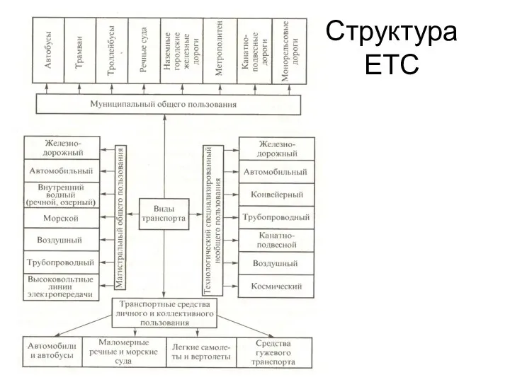 Структура ЕТС