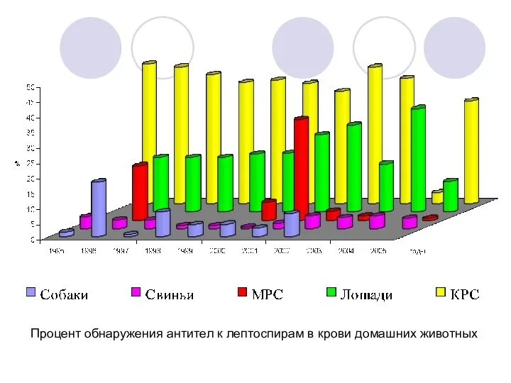 Процент обнаружения антител к лептоспирам в крови домашних животных