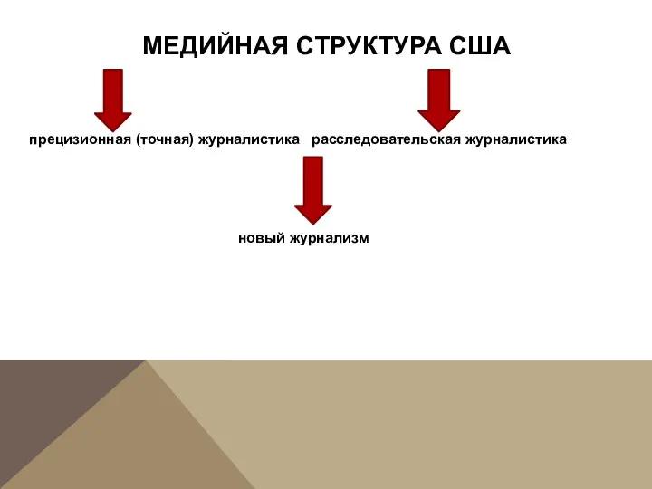 МЕДИЙНАЯ СТРУКТУРА США прецизионная (точная) журналистика расследовательская журналистика новый журнализм