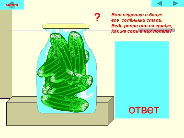 Вот огурчики в банке все солёными стали, Ведь росли они на грядке,