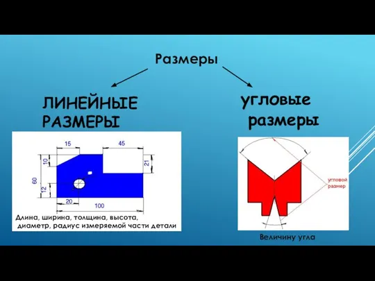 ЛИНЕЙНЫЕ РАЗМЕРЫ угловые размеры Размеры Длина, ширина, толщина, высота, диаметр, радиус измеряемой части детали Величину угла