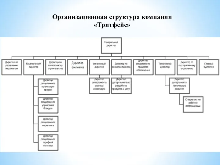 Организационная структура компании «Тритфейс»