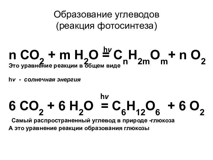 Образование углеводов (реакция фотосинтеза) n СО2 + m Н2О = СnН2mОm+ n