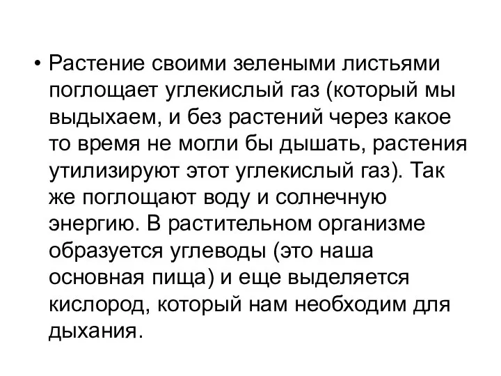 Растение своими зелеными листьями поглощает углекислый газ (который мы выдыхаем, и без