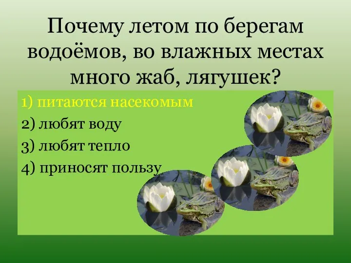 Почему летом по берегам водоёмов, во влажных местах много жаб, лягушек? 1)