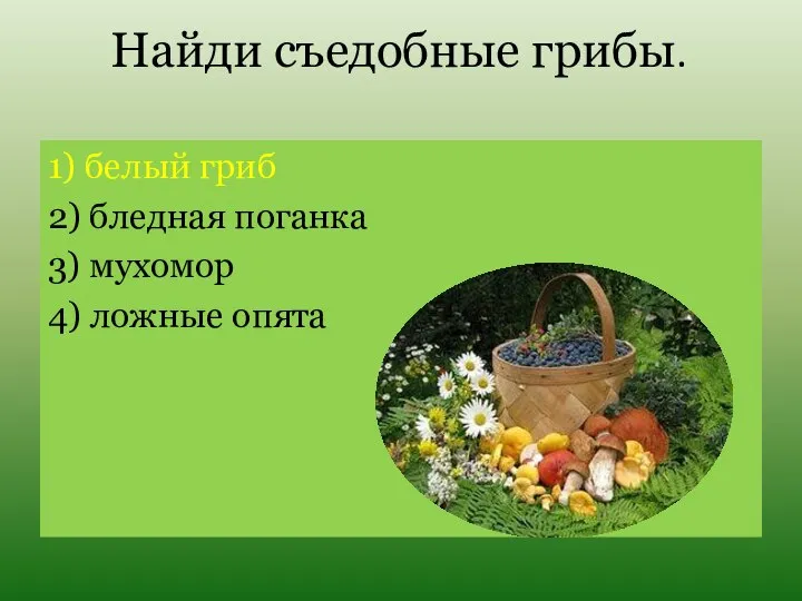 Найди съедобные грибы. 1) белый гриб 2) бледная поганка 3) мухомор 4) ложные опята