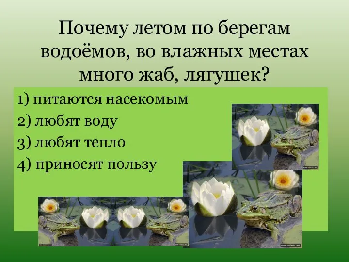 Почему летом по берегам водоёмов, во влажных местах много жаб, лягушек? 1)