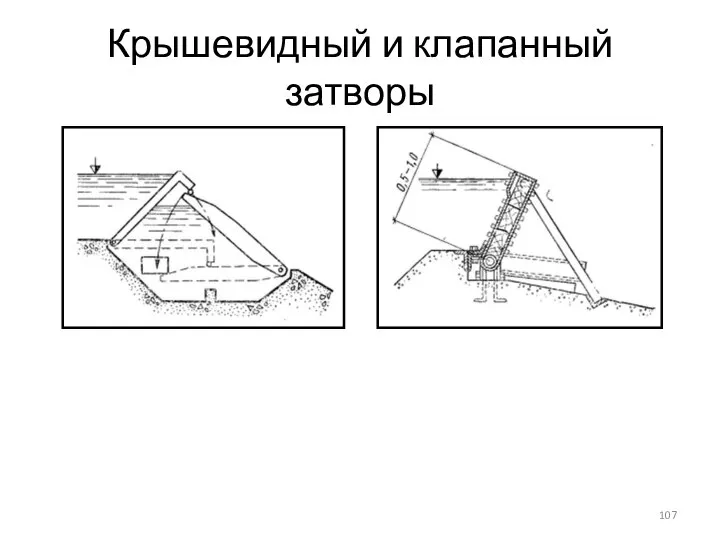 Крышевидный и клапанный затворы