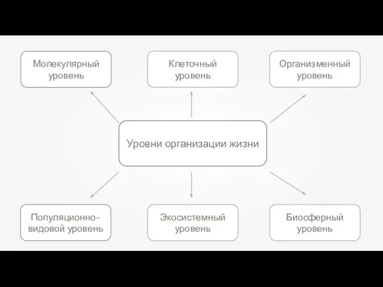 Уровни организации жизни