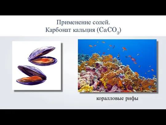 Применение солей. Карбонат кальция (CaCO3) коралловые рифы