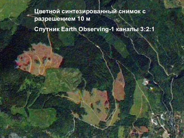 Цветной синтезированный снимок с разрешением 10 м Спутник Earth Observing-1 каналы 3:2:1