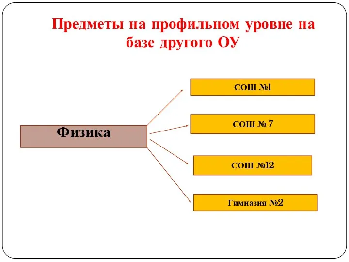 Предметы на профильном уровне на базе другого ОУ Физика СОШ №1 СОШ