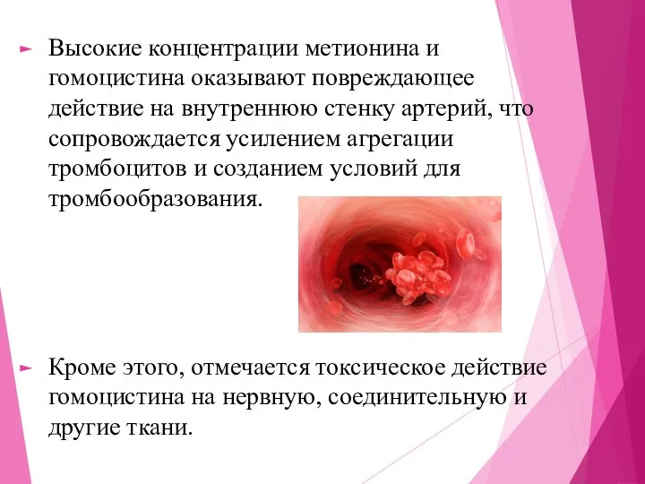 Высокие концентрации метионина и гомоцистина оказывают повреждающее действие на внутреннюю стенку артерий,