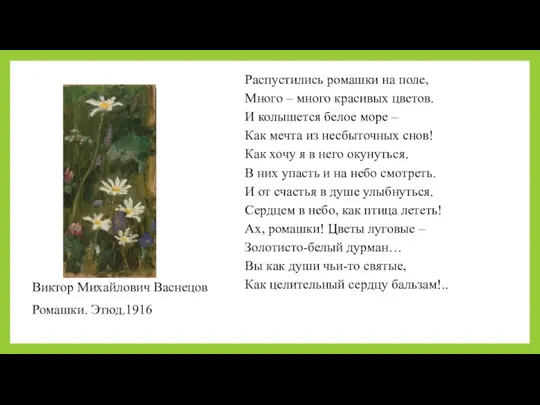 Распустились ромашки на поле, Много – много красивых цветов. И колышется белое