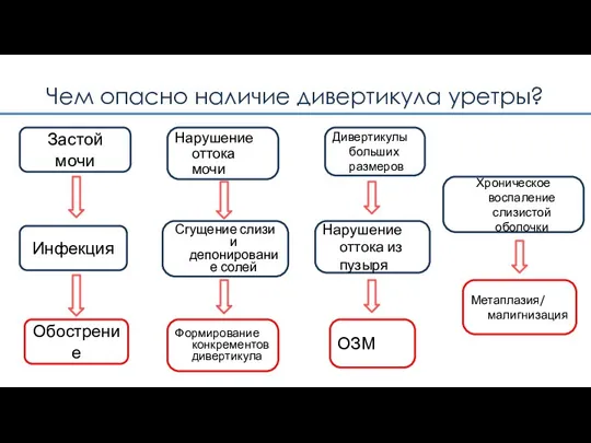 Чем опасно наличие дивертикула уретры? Застой мочи Инфекция Обострение Нарушение оттока мочи