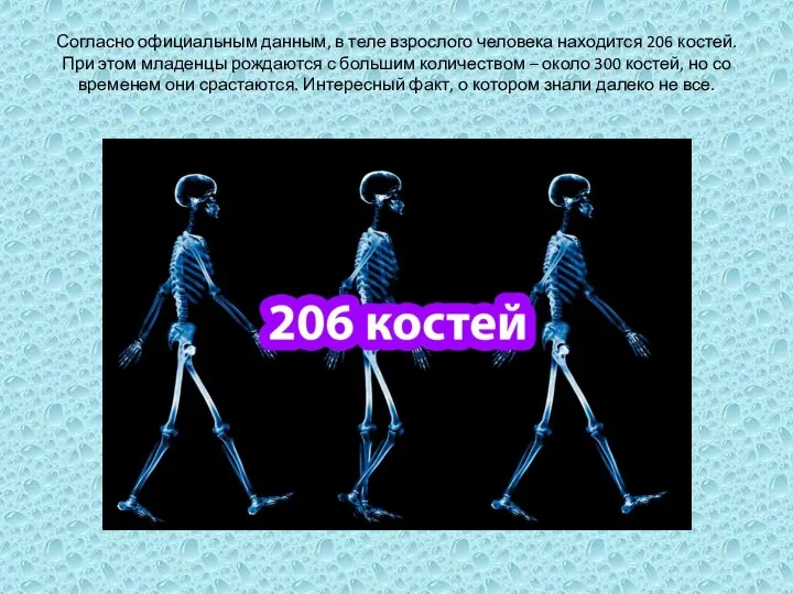 Согласно официальным данным, в теле взрослого человека находится 206 костей. При этом