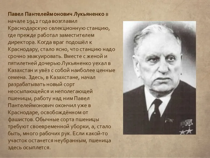 Павел Пантелеймонович Лукьяненко в начале 1942 года возглавил Краснодарскую селекционную станцию, где